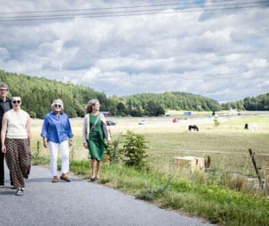 ny ridanläggning 464 _SNJ7236